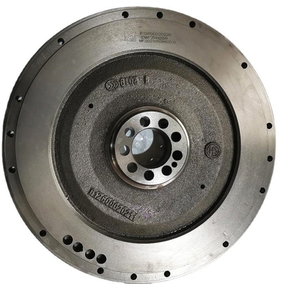 OEM 612600020220 Fliegerradmontage für Shacman Truck Weichai WP10/WP12/WD12 Motor