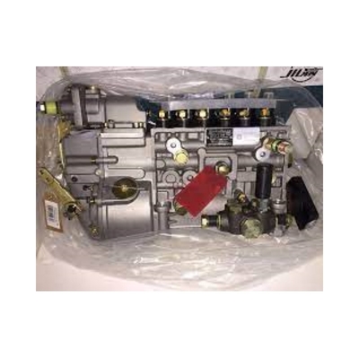 Howo Lkw-Einzelteile VG1560080022 Kraftstoffeinspritzpumpe für Kunden