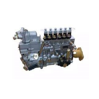 Howo Lkw-Einzelteile VG1560080022 Kraftstoffeinspritzpumpe für Kunden