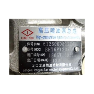 Howo Lkw-Einzelteile VG1560080022 Kraftstoffeinspritzpumpe für Kunden