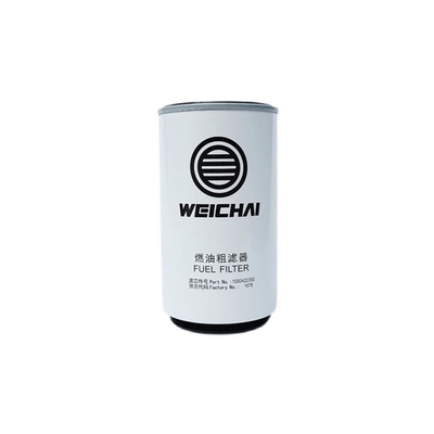 SINOTRUK HOWO SHACMAN Teile Industriefilter Ersatz für Weichai WP12 Motor Jahr 2006-