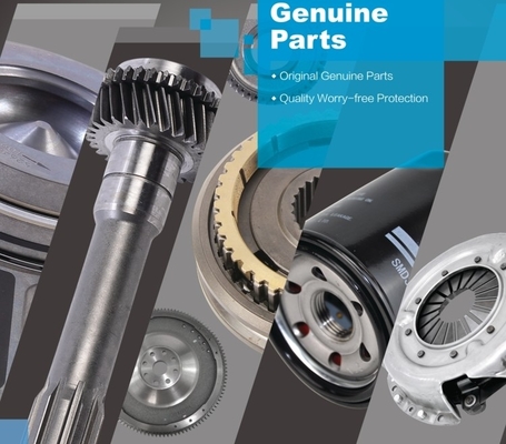 WEICHAI POWER Elektrische Steuerungseinheit 612640080004 Bezugsnummer und OEM-Standardgröße