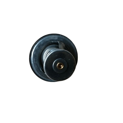Standardgröße 76 Grad Thermostat für den SINOTRUK CNHTC Foton Truck T2485613 T74405005