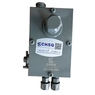 WG9925823002 Kabinenhebepumpe A7 für Sinotruk 2005- Jahr Zweck Ersetzen/Reparatur