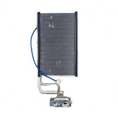 Ersatz/Reparatur Zweck Sinotruk HOWO Lkw-Teile Verdampfer WG1642820077